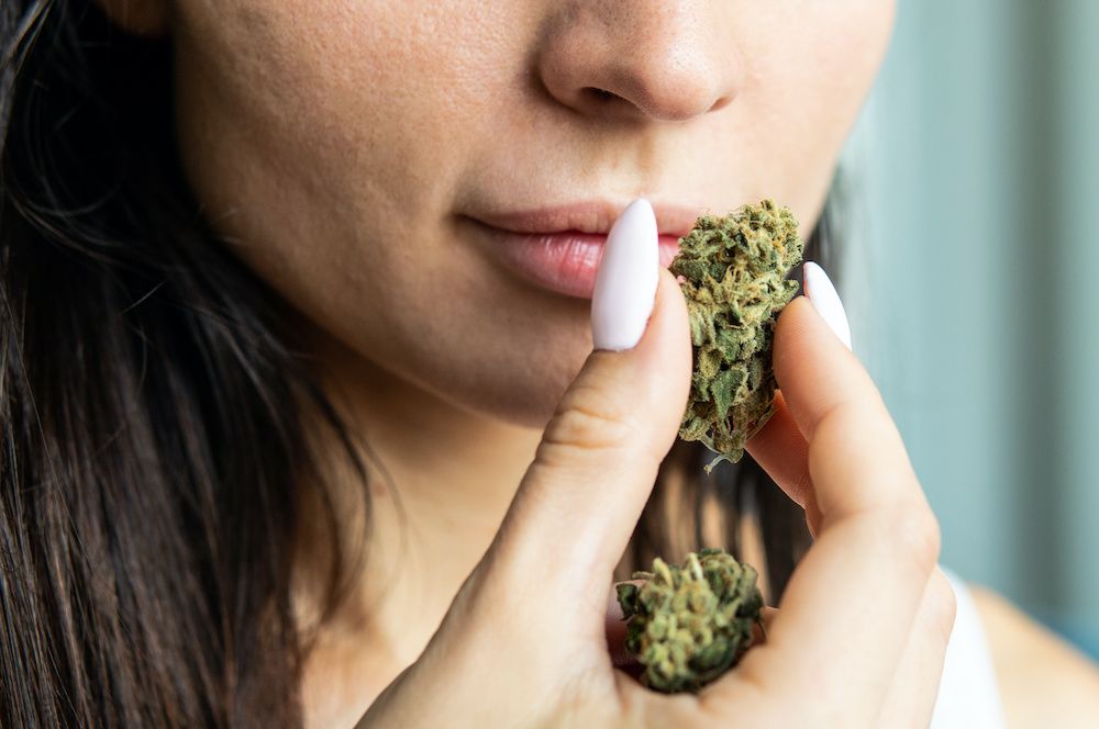 Les Bienfaits du CBD : Pourquoi Intégrer le CBD dans Votre Routine ?