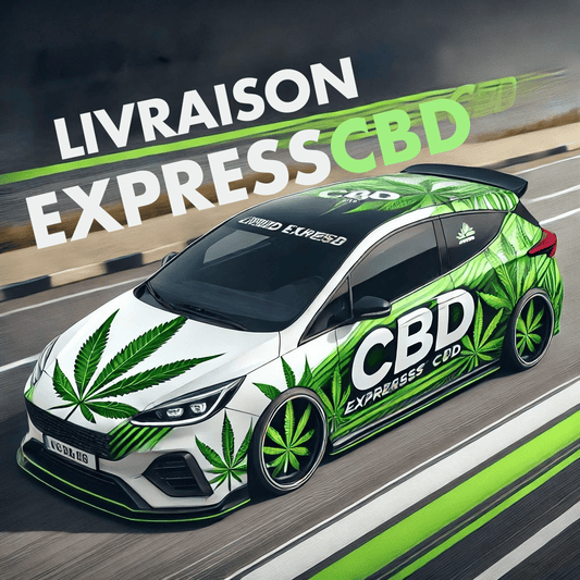 Livraison de CBD à Saint-Gilles, Nîmes et Arles : Tout Ce Qu’il Faut Savoir