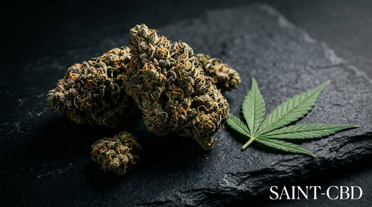 Livraison CBD Aimargues — Commandez Express Avant 18h