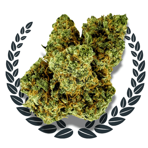 Fleurs Premium Icon