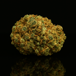 Fleur Plutonium Hydro