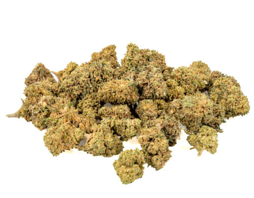 Bubble Gum