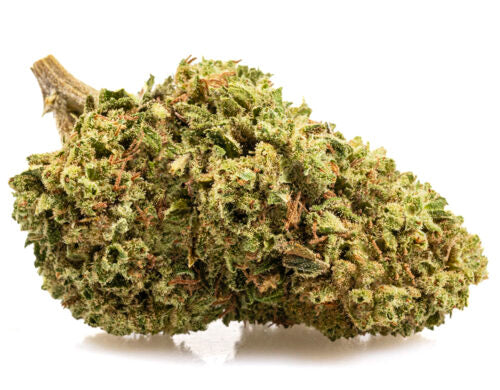 Bubble Gum