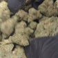 Fleur California Hydro